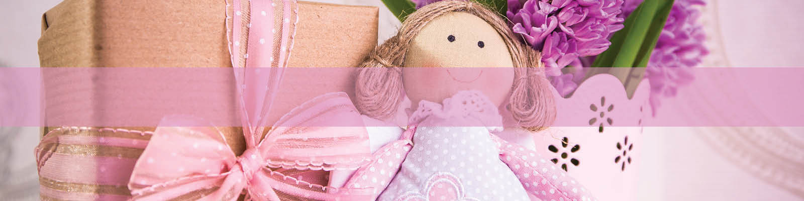 Dolls Collection Banner