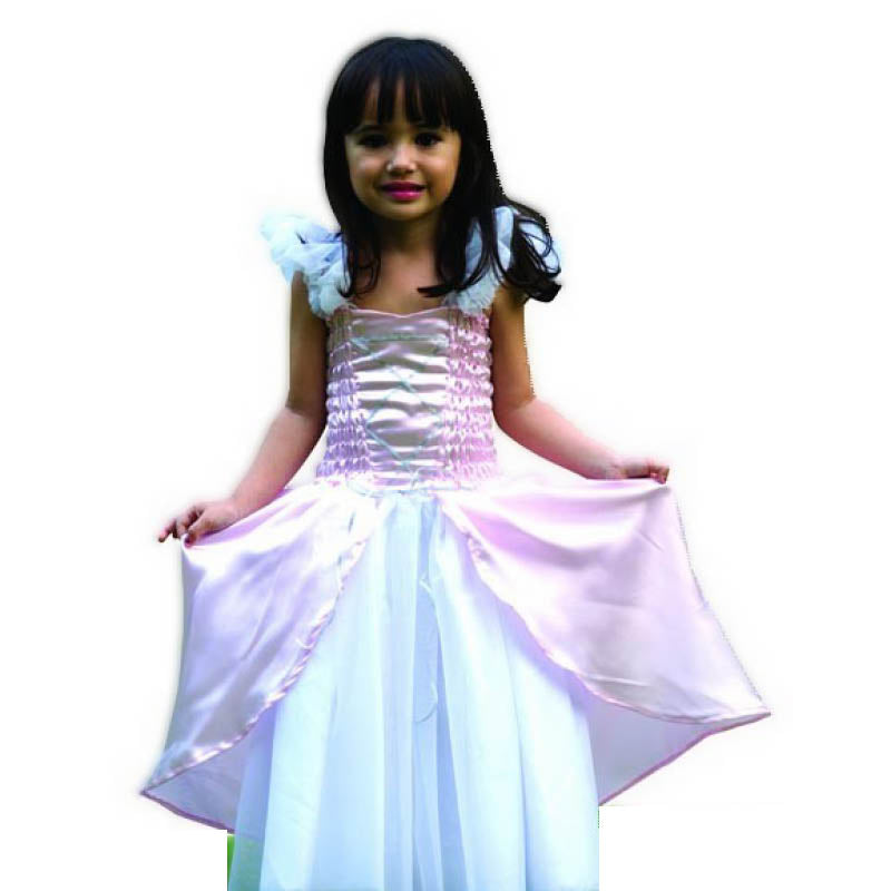 Princess Inspired Dress