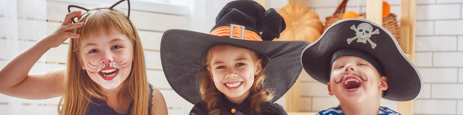 Costumes All Collection Banner