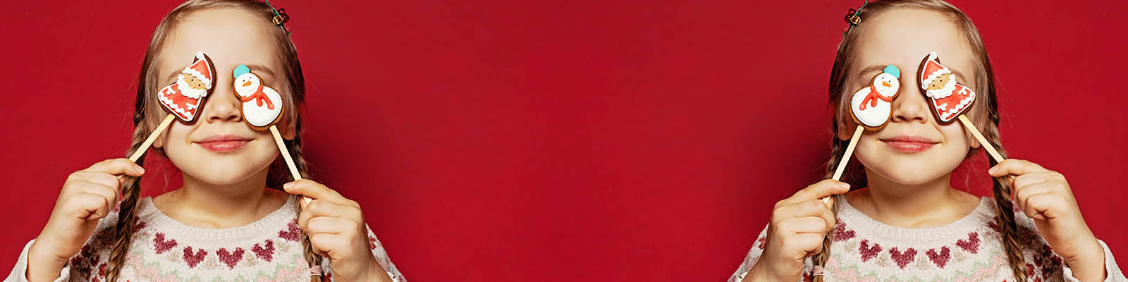 Christmas Twins Collection Banner