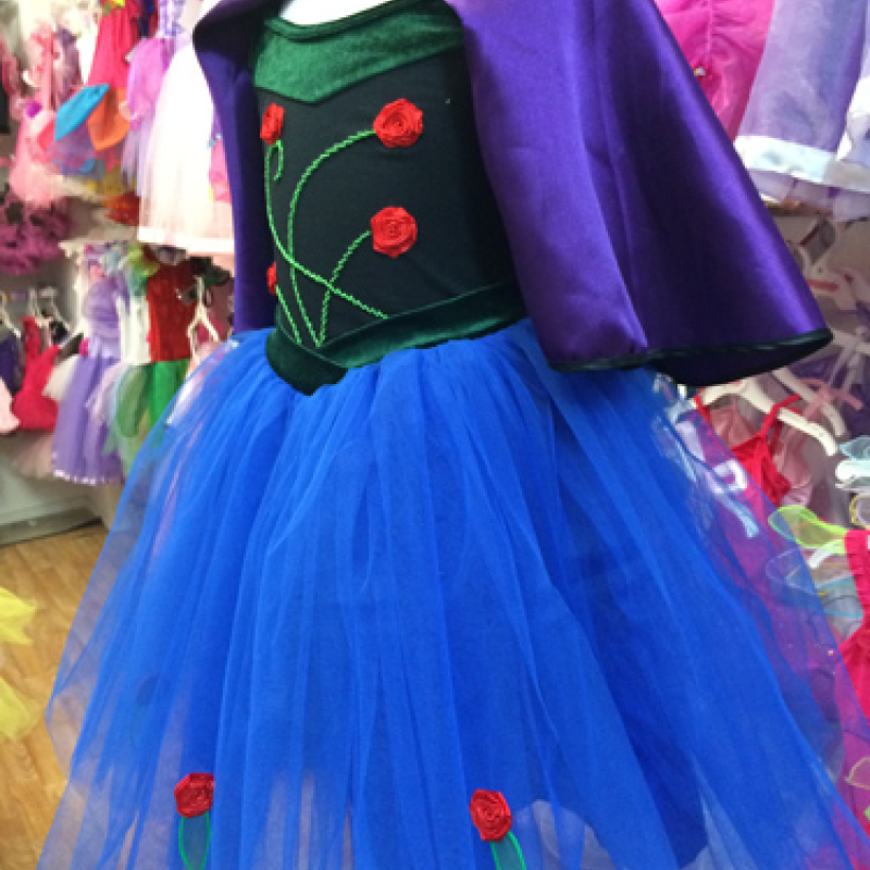Fairy Girls Frozen Anna Dress Front