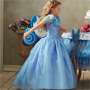 Inspired Cinderella Dress