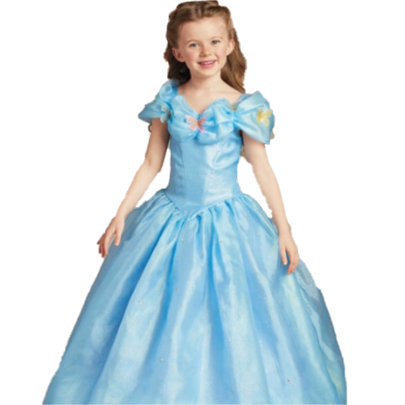 Inspired Cinderella Dress
