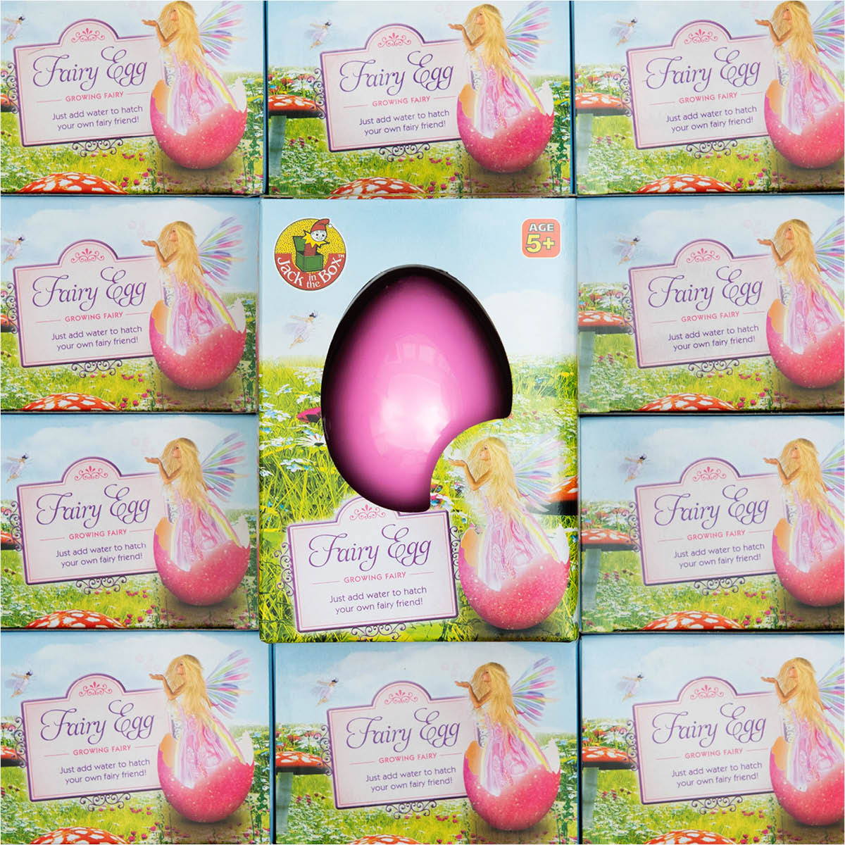 Magical Fairy Egg